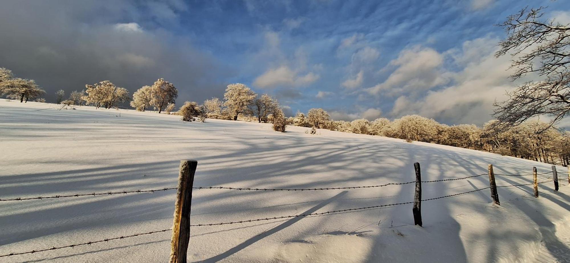 Landhaus Gnacke ชมาลเลนแบร์ก ภายนอก รูปภาพ